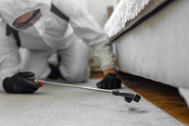 Professional Bed Bug Control technician working in Brielle, NJ