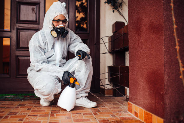 Reliable Bed Bug Control contractor in Brielle, NJ by Nex Pest Control