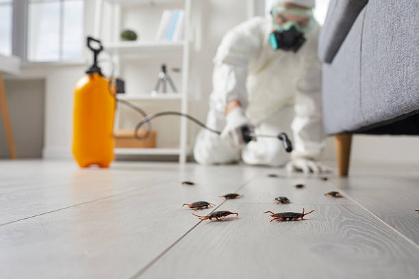 Trusted Fumigation Services service in Brielle, NJ - Nex Pest Control