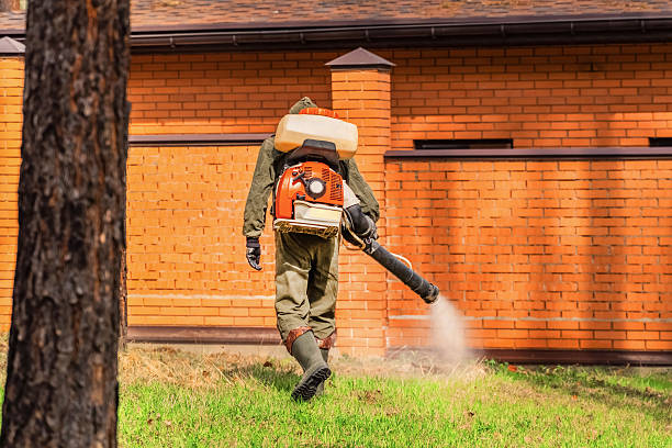Trusted Cockroach Control service in Brielle, NJ - Nex Pest Control